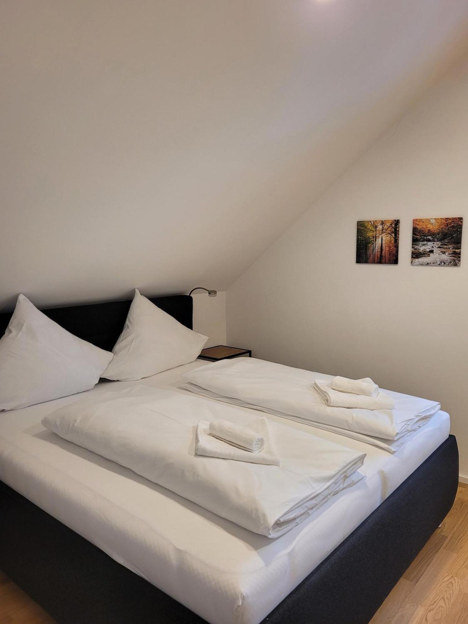 Haus Wiesenquelle - Fewo 14 "Timeout", Feldberg Rinken エクステリア 写真