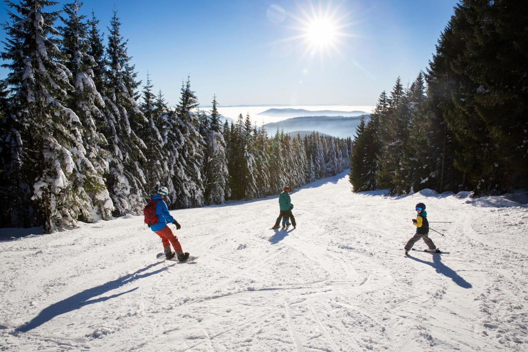 Haus Wiesenquelle - Fewo 14 "Timeout", Feldberg Rinken エクステリア 写真